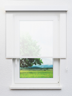 Avior 102873L Fensteransicht