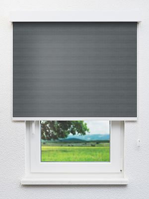 Avior 802877L Fensteransicht