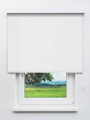 Alnilam 802886L Fensteransicht