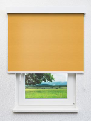 Reva 302912L Fensteransicht