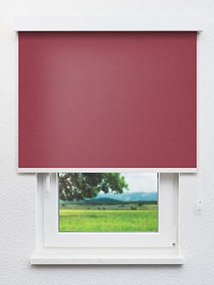 Reva 402914L Fensteransicht