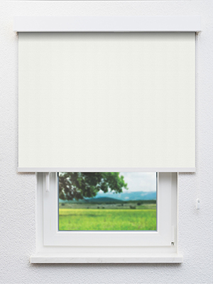 Alya BO 102918L Fensteransicht