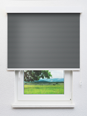 Alya BO 802922L Fensteransicht