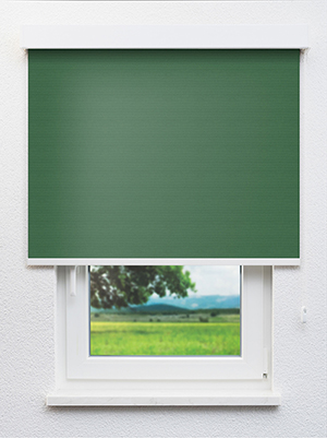 Alya BO 602930L Fensteransicht