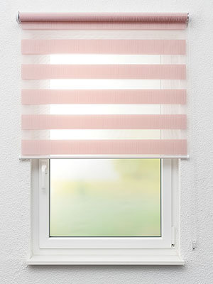 Besigheim 63.492e Fensteransicht