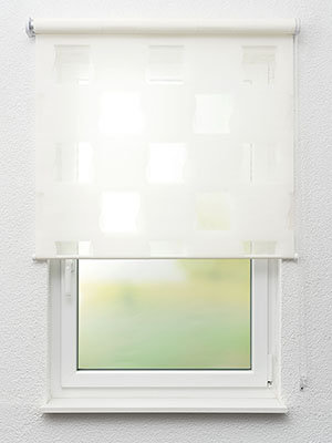 Birkenfeld 12.003e Fensteransicht