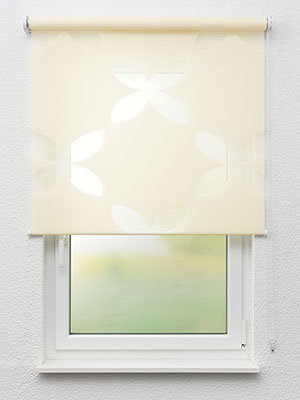 Bischofswerda 02.103e Fensteransicht