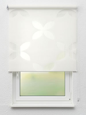 Bischofswerda 12.103e Fensteransicht