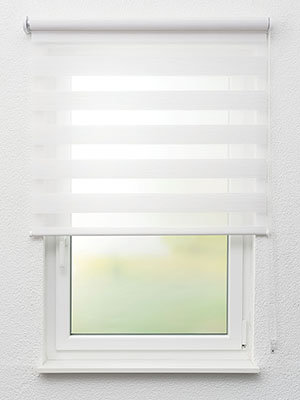 Bismark 12.203e Fensteransicht