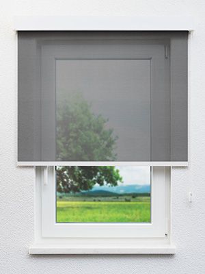 Dillingen 30.023e Fensteransicht