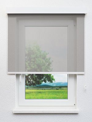 Braunlage 10.133e Fensteransicht