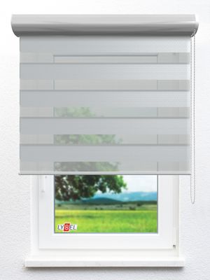 Simply Doppelrollo Zilly 103610L Fensteransicht