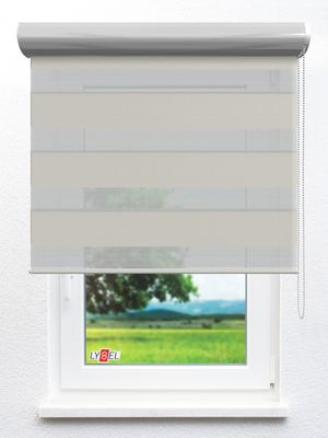 Simply Doppelrollo Zazon 203671L Fensteransicht