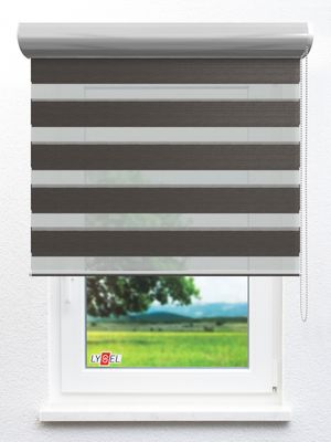 Simply Doppelrollo Zyndi 703698L Fensteransicht