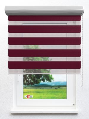 Simply Doppelrollo Ziva 403721L Fensteransicht