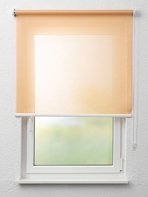 Dreieich 72.104e Fensteransicht