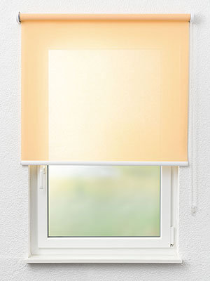 Dülmen 52.814e Fensteransicht