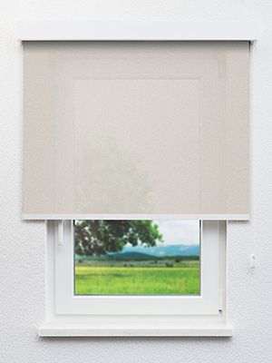 Brück 81.544e Fensteransicht