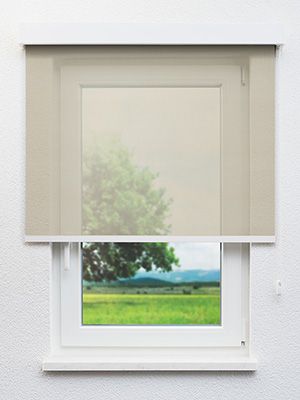 Fulda 21.576e Fensteransicht