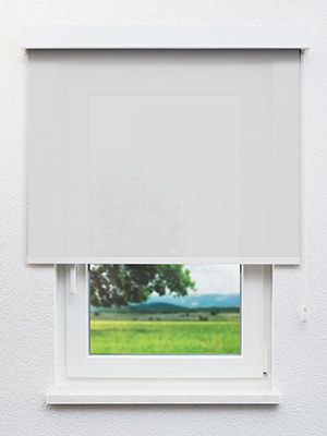 Gebesee 12.296e Fensteransicht