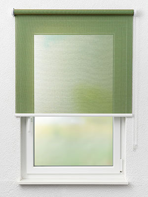 Arneburg 88.047e Fensteransicht