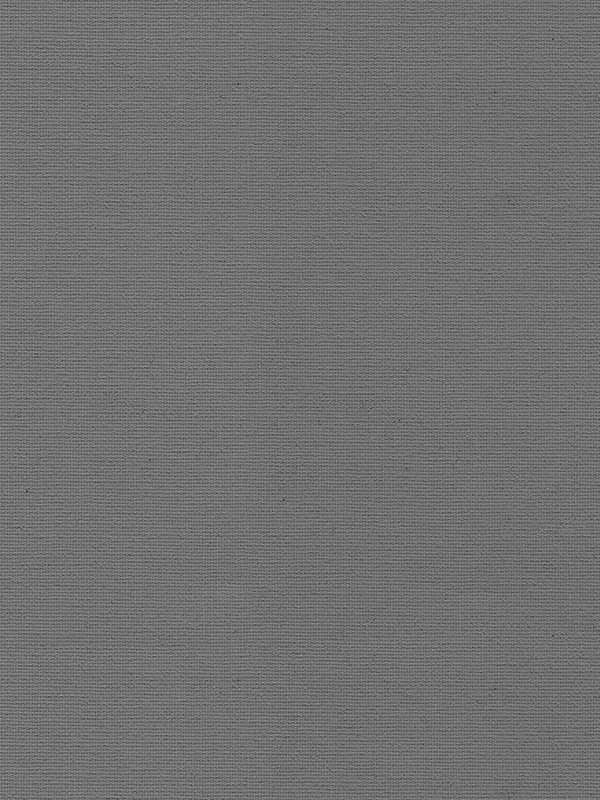 Detailansicht Rollo Sceptrum 5509.6404