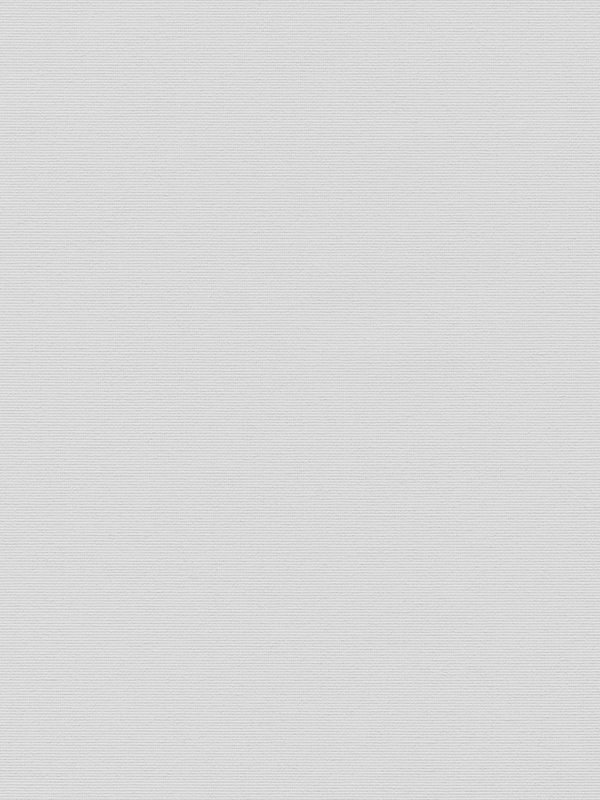 Detailansicht Verdunkelungsrollo Algol BO 5501.1106