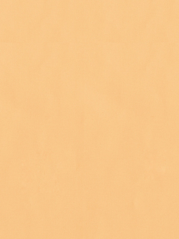 Detailansicht Dülmen 52.814e