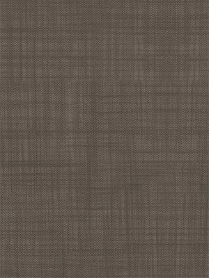 Rollo Anser 5507.1502 Detailansicht