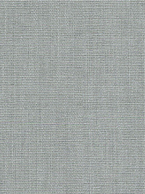 Asellus 802584L Detailansicht