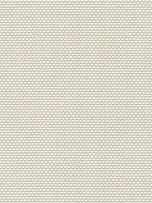 Avior 202875L Detailansicht